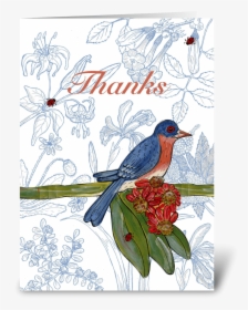 Bluebird Thank You Greeting Card - Eastern Bluebird, HD Png Download, Transparent PNG