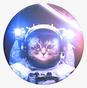 Cat In Space Popsocket , Png Download - Catstronaut Popsocket, Transparent Png, Transparent PNG
