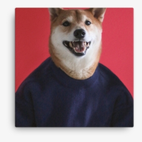 Mensweardog Love Is Love Canvas Print - Shiba Inu, HD Png Download, Transparent PNG