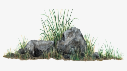 Rock With Grass Png, Transparent Png, Transparent PNG