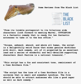 Cuttlefish Quotes Page Vertical Transparent - Fish Products, HD Png Download, Transparent PNG