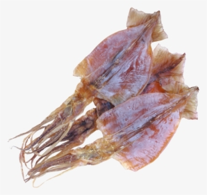 Stockfish, HD Png Download, Transparent PNG