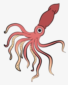How To Draw Squid - Giant Squid Drawing Easy, HD Png Download, Transparent PNG