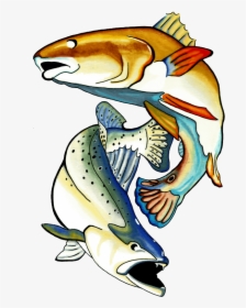 Charter Communications Clipart , Png Download - Redfish And Trout Clipart, Transparent Png, Transparent PNG