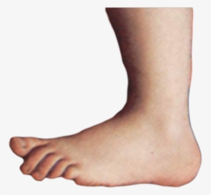Freetoedit Montypythonfoot Foot Googleimage - Monty Python Foot Png, Transparent Png, Transparent PNG