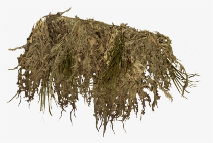 Ghilliegunwraptan - Hay, HD Png Download, Transparent PNG