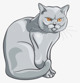 Cartoon Cat Vector, HD Png Download, Transparent PNG