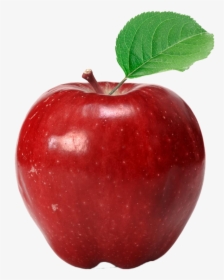 Apple Red Delicious Eating Fuji - Apple Stock, HD Png Download, Transparent PNG