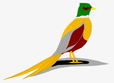 Ring Necked Pheasant Clip Art, HD Png Download, Transparent PNG
