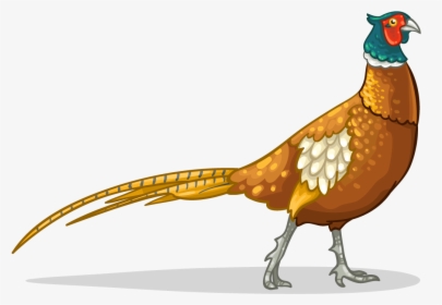 Pheasant Icon Clipart , Png Download - Golden Pheasant Bird Clipart, Transparent Png, Transparent PNG