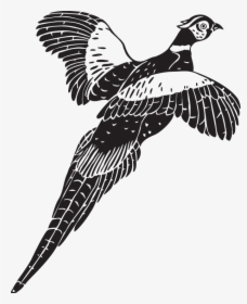 Flying Pheasant Clip Art, HD Png Download, Transparent PNG