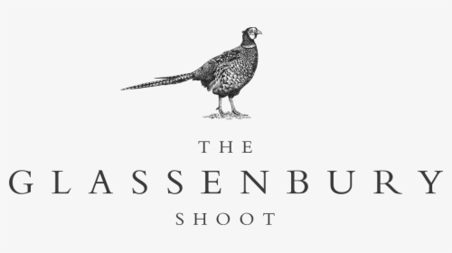 Clip Art Pheasant Logo - Pheasant Shooting Black And White, HD Png Download, Transparent PNG