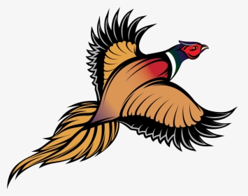 Ring Necked Pheasant - Pheasant Clip Art, HD Png Download, Transparent PNG