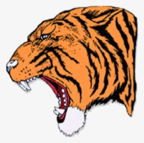 The Reeds Spring Wolves Defeat The Hollister Tigers - Hollister Tigers, HD Png Download, Transparent PNG