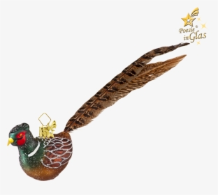 Pheasant - Turkey, HD Png Download, Transparent PNG