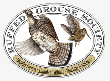 Ruffed Grouse Society, HD Png Download, Transparent PNG