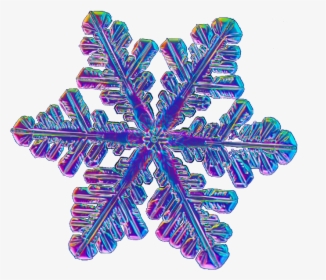 Trippy/rainbow Snowflake // This Was Requested Ion - Trippy Snowflake, HD Png Download, Transparent PNG