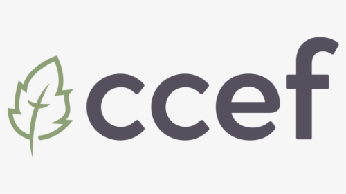 Ccef Logo 2019 Color - Circle, HD Png Download, Transparent PNG