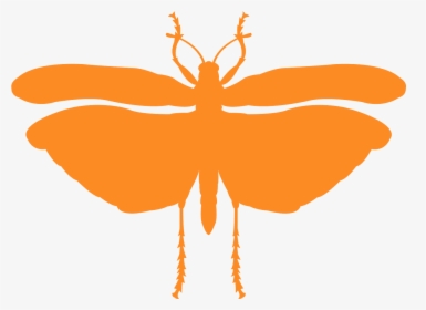Locust Silhouette, HD Png Download, Transparent PNG