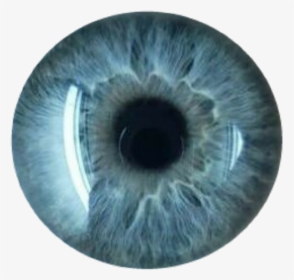 #eye #eyes #lightblue #cool #cute #beautiful #tumblr - Grey Eyes Transparent Background, HD Png Download, Transparent PNG