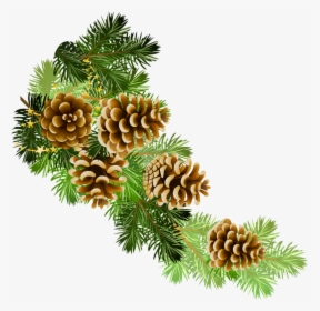 Poinsettia Clipart Pine Garland - Christmas Greenery Clip Art, HD Png Download, Transparent PNG