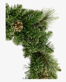 Transparent Gold Wreath Png - Christmas Tree, Png Download, Transparent PNG