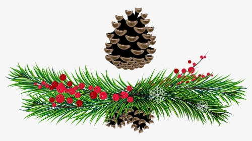 Branches And Cones Png - Christmas Pine Transparent Background, Png Download, Transparent PNG