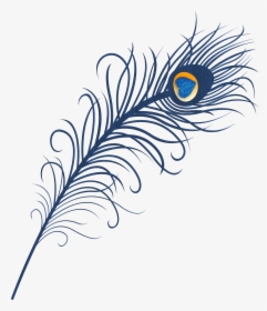 Transparent Eyelash Clipart - Png Format Peacock Feather Png, Png Download, Transparent PNG