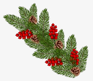 Christmas Tree Clipart Branches - Christmas Tree Branch Clipart, HD Png Download, Transparent PNG