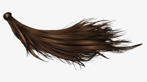 Hair Transparent Background - Black Long Hair Png, Png Download, Transparent PNG