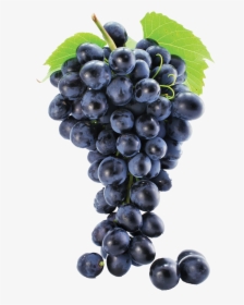 Grapes Png Image - Grape Png, Transparent Png, Transparent PNG