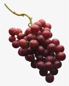 Grape Png Image - Png Grape Vine Red Grape, Transparent Png, Transparent PNG