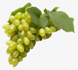 Green Grapes Png Image - Golden Grapes Transparent Background, Png Download, Transparent PNG