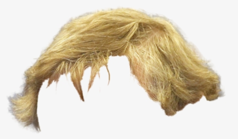 Step-cutting - Blonde Hair Png Male, Transparent Png, Transparent PNG