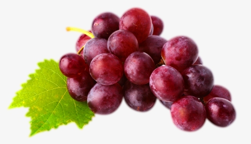 Red Wine Juice Common Grape Vine Red Globe - Red Globe Grapes Png, Transparent Png, Transparent PNG
