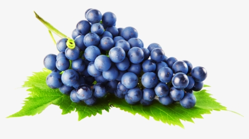 Grapes Png Image - Grapes Transparent Background, Png Download, Transparent PNG