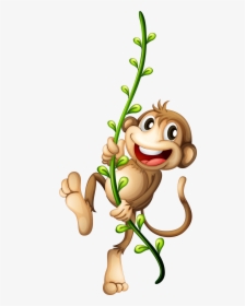 Monkey Clipart Png Image - Monkey Hanging From A Vine, Transparent Png, Transparent PNG