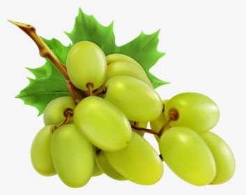 White Grapes Png Clipart - Grapes Clipart, Transparent Png, Transparent PNG