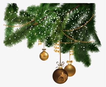 Hd Christmas Fir Tree Png Image - Christmas Tree Png File, Transparent Png, Transparent PNG