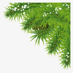 Featured image of post High Resolution Transparent Background High Resolution Christmas Tree Png - Please contact us if you want to publish a high.