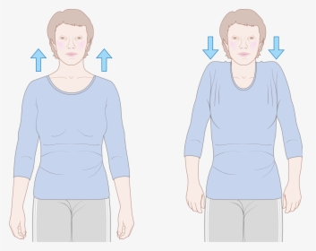 Exercise After Surgery Of Breast Cancer, HD Png Download , Transparent ...