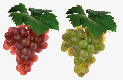 Grape Png Image - Grapes Hd, Transparent Png, Transparent PNG