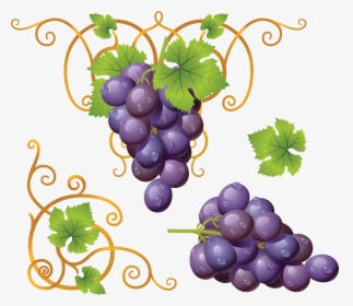 Grape Png Image - Grapes Clipart Png, Transparent Png, Transparent PNG