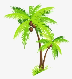 Safari Trees Hd Coconut Tree Clipart Palm Clip Art - Transparent Background Coconut Tree Clipart, HD Png Download, Transparent PNG