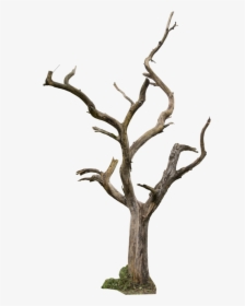 Dead Tree Clipart Animated - Dry Tree Png Hd, Transparent Png, Transparent PNG