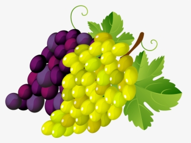 Transparent Clipart Image Grapes Png Clipart Green - Grapes Clipart Transparent Background, Png Download, Transparent PNG