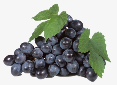 Black Grapes Png Free Download - Seedless Fruit, Transparent Png, Transparent PNG