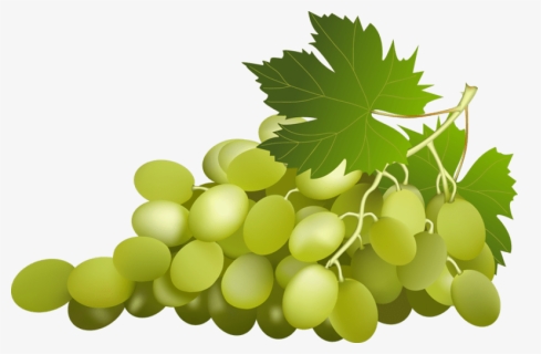 Grape Free Png Image - Green Grapes Clip Art, Transparent Png, Transparent PNG