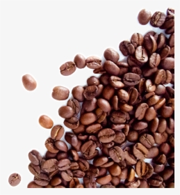 The Coffee Bean & Tea Leaf Espresso Cafe Dolce Gusto - Coffee Beans Transparent Background, HD Png Download, Transparent PNG
