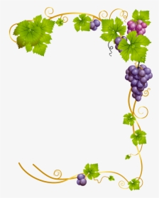 Transparent Grapevine Border Clipart - Grape Vine Clipart Png, Png Download, Transparent PNG